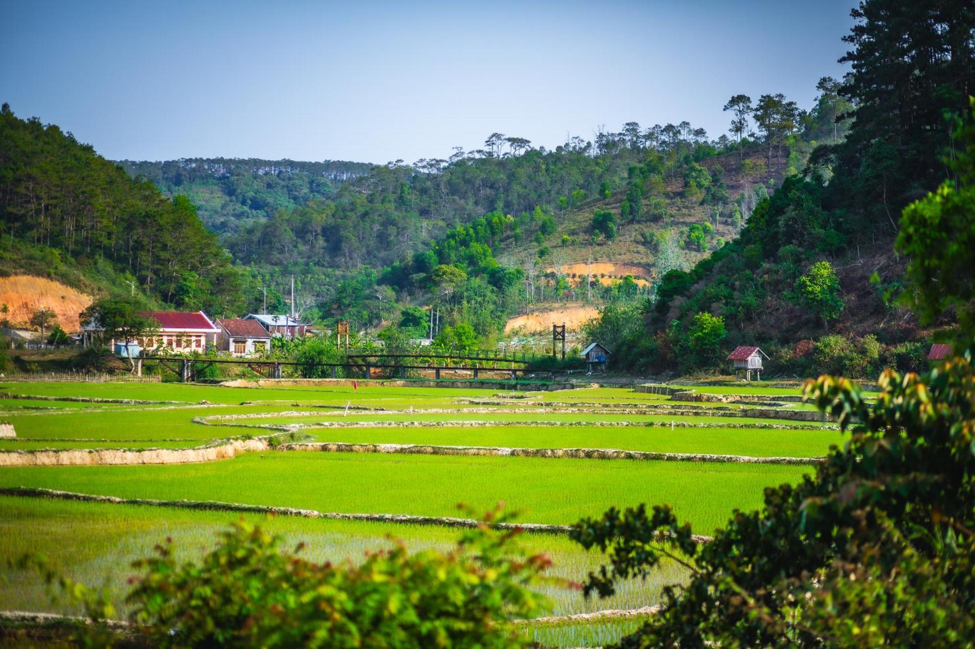 Nha Trong Ban - Homestay Mang Den Kon Von Kla Esterno foto
